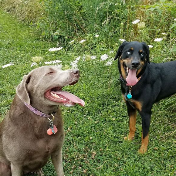 Meet your Posher, Tanya - Picture 1 of 1